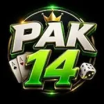 Pak14 Game Logo